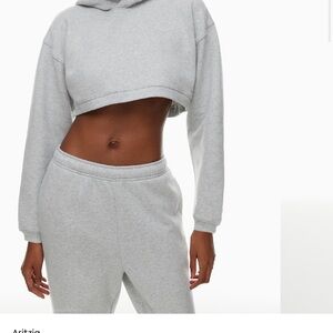 Aritzia Light Gray Cropped hoodie